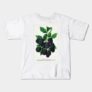 Erie Blackberry lithograph (1900) Kids T-Shirt